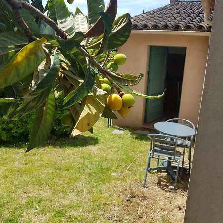 Grand Studio La Roquette-sur-Siagne Екстериор снимка